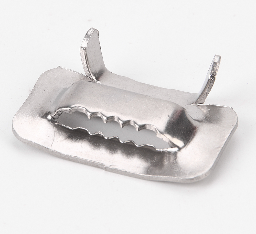 Stainless Steel Tooth Buckles